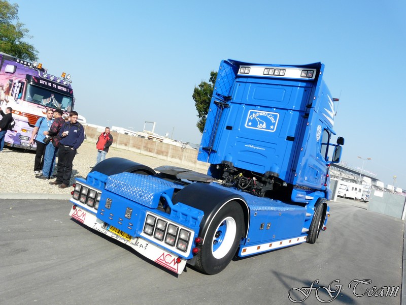Elytrans (4).JPG